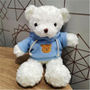 洛克兔礼盒装泰迪熊毛绒玩具玩偶抱抱熊熊布娃娃小熊公仔女友