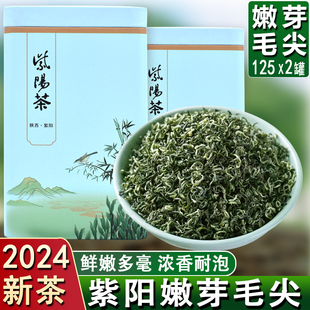 陕青安康茶叶2024新茶紫阳富硒茶毛尖绿茶浓香耐泡散装礼盒装250g