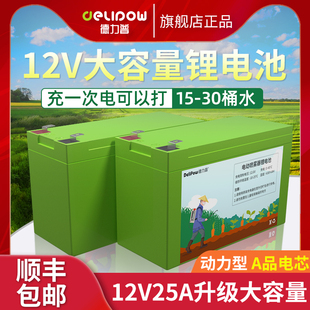 德力普电动喷雾器电瓶12v锂电池电池组农用打药音响童车门禁12伏