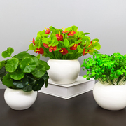 仿真花塑料假花陶瓷绿植物装饰品，客厅家居桌面摆设，多肉小盆栽摆件