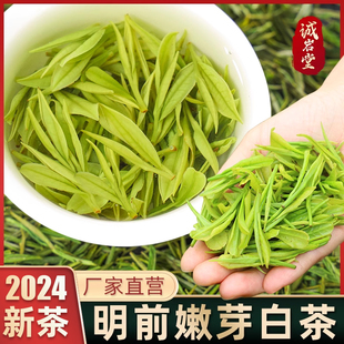 正宗明前白茶嫩芽2024新茶高档绿茶叶散装自己喝特级高山珍稀白茶