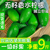 海南无籽香水青柠檬净重5斤新鲜一级果当季果饮品店使用整箱