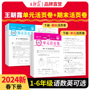 2024新王朝霞活页期末试卷小学单元下册一年级单元试卷测试卷全套二三四五六人教版语文北师苏教数学英语期末冲刺亮点大试卷2023上