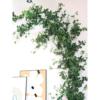 招财仿真树叶藤条绿植空调管装饰遮挡假花藤吊顶塑料植物绿叶藤蔓