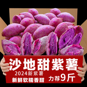 紫薯新鲜板栗红薯番薯地瓜，蜜薯糖心10斤山芋，烟薯香薯蔬菜农家自种
