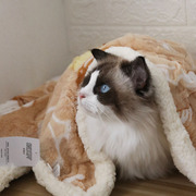 秋冬宠物羊羔绒小毛毯猫咪柔软保暖毯子狗狗睡觉垫子办公室小盖毯