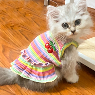 猫咪衣服可爱樱桃吊带裙，春夏季薄款防掉毛金吉拉(金吉拉)布偶宠物小狗服饰
