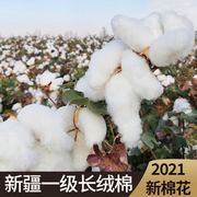 新疆长绒棉被芯垫被棉花被子一级被手工花冬被棉絮床120x150cm儿