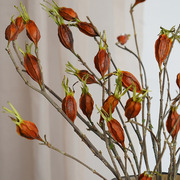 栀子果干花高级感真花束，客厅摆件树枝，树干装饰干花枝天然风干果实