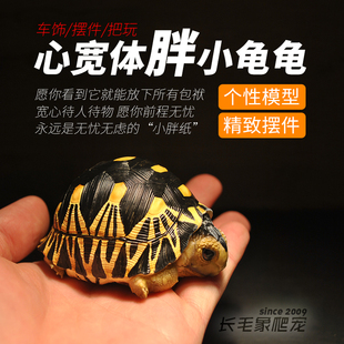博物志 心宽体胖陆龟模型胖头龟模型玩具手办收藏把玩模型摆件