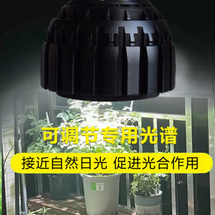 室内LED植物生长灯 仿太阳光绿植盆栽专用调焦蔬菜全光谱植物补光