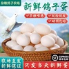 新鲜鸽子蛋10枚超大蛋独享装纯粮喂养无添加孕妇宝宝辅食