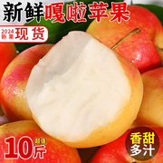 新鲜嘎啦苹果10斤装应当季水果，青红富士香甜冰糖心丑平果整箱