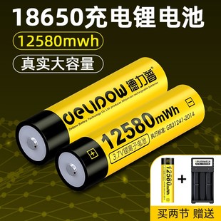 德力普18650锂电池大容量强光手电头灯台夹扇4.2v充电电池充电器