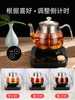 全自动煮茶壶智能煮茶器小型黑茶壶家用蒸汽喷淋玻璃办公室养生壶