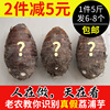 （5斤6-8个）正宗广西特产荔浦芋头 新鲜香芋农家生鲜蔬菜5斤