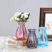 北欧干花插花水培绿萝植物透明玻璃瓶 家用客厅摆件创意简约花瓶