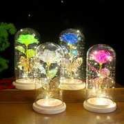 母亲节创意led灯七彩，玫瑰花发光玻璃罩金箔花，礼盒520礼物