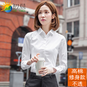 棉质白衬衫女士职业长袖，工作服上衣2024韩版百搭衬衣正装通勤