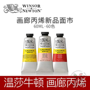 温莎牛顿画廊丙烯颜料管装手绘墙绘画初学者DIY艺术彩绘颜料60ml