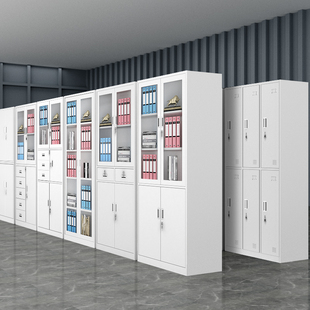 铁皮文件柜办公室会计凭证柜资料档案柜带锁置物收纳矮柜子储物柜