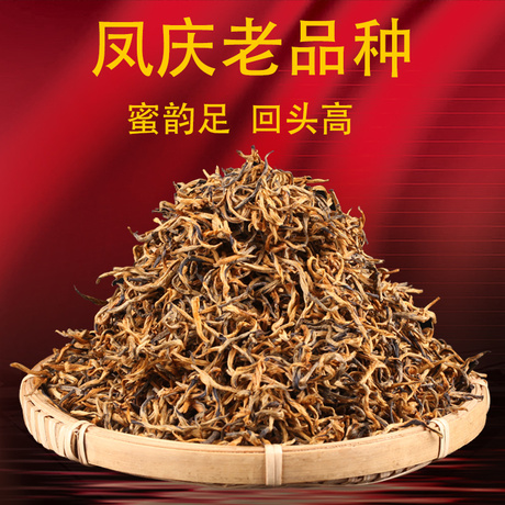 云南凤庆金芽红茶