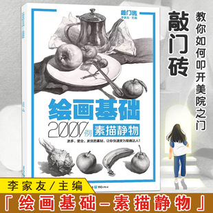 13年老店正版敲门砖系列绘画基础素描静物2000例 李家友编静物单体组合素材步骤示范范画临摹艺考美术基础入门书籍