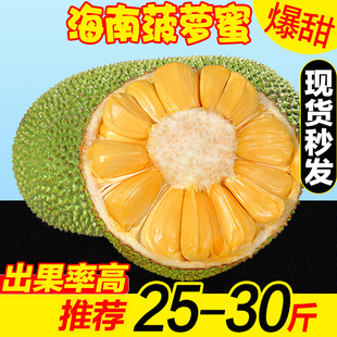 海南当季三亚黄肉菠萝蜜20斤一整个大树木菠萝新鲜热带水果红
