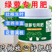 绿萝营养液专用肥料花肥家用盆栽通用型吊篮常青藤文竹植物活力素