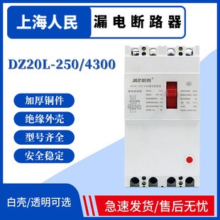 DZ20LE-250/4300漏电断路器三相四线250A漏保