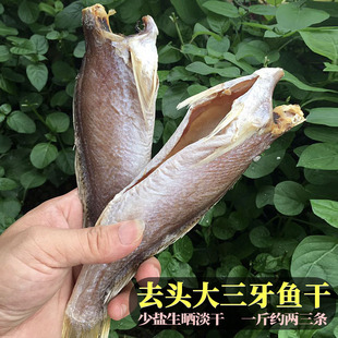 淡口去头三牙鱼干三齿鱼渔民生晒咸鱼干台山渔家广海特产海味500g