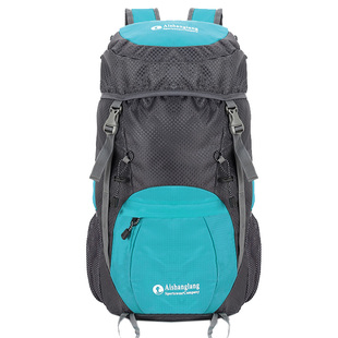 超轻便携大容量i皮肤包可折叠旅行包男女双肩包户外背包登山包防