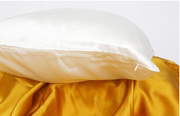 6A重磅真丝枕套双面真丝 百分百桑蚕丝枕套枕巾25姆米30姆米