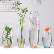 斜口花瓶简约玻璃透明落地摆件客厅餐桌水竹，富贵竹干花插花饰品