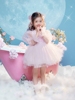 儿童摄影服装影楼拍照主题粉色纱裙2023年希子梦幻公主裙照相衣服