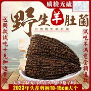 2023年干货羊肚菌 高原野生羊肚菇 特级野生羊肚菌干货500g