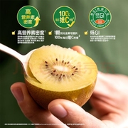 zespri佳沛金奇异果中果8新西兰进口黄心猕猴桃当季新鲜水果金果
