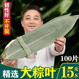 粽叶新鲜大100片箬叶包粽子的叶子特大粽子叶干大号本地棕叶