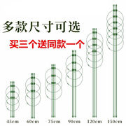 家用铁艺花盆支架月季花架爬藤架室内客厅铁线莲庭院支杆攀爬架