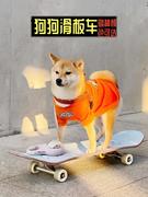 宠物狗滑板车泰迪柯基双翘板滑板车小型玩具法斗专用狗滑板带发光