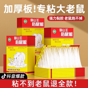 老鼠贴强力粘鼠板家用超强力胶粘抓大老鼠夹扑捉灭鼠捕鼠神器