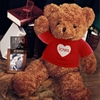 毛绒玩具泰迪熊公仔玩偶布娃娃大号1.6米抱抱熊送女友生日礼物男