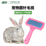 兔子梳子垂耳兔荷兰猪梳毛，器宠物洗澡沐浴用品干洗刷子清洁专用