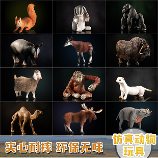 仿真动物模型玩具套装动物园野生公牛象龟大猩猩，刺猬角马母狮狐猴