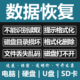 电脑固态移动硬盘数据恢复u盘维修内存，sd卡照片文件远程修复服务