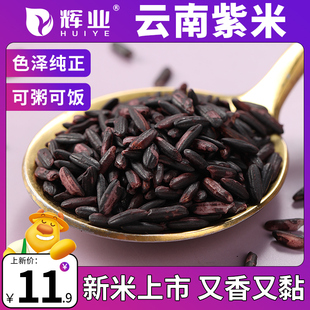 辉业云南紫米5斤正宗紫糯米新米饭团专用材料血米糙米饭紫色商用