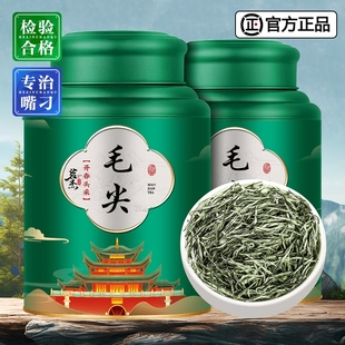 2024新茶上市毛尖茶叶炒青绿茶信阳春茶嫩芽浓香耐泡散装茶叶500g