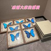 大蓝闪蝶蝴蝶标本相框成品展翅展示框昆虫名贵罕见蓝色生日礼物