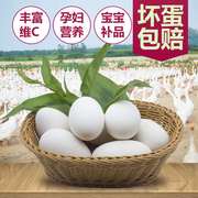 12枚农家散养土鹅蛋新鲜孕妇正宗特大鹅蛋鲜鹅蛋80-120克