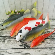 仿真鱼模型假红鲤鱼鲫鱼金鱼，热带鱼海洋动物装饰道具儿童玩具